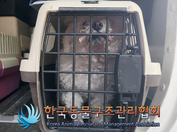 한국동물구조관리협회_411312202300484